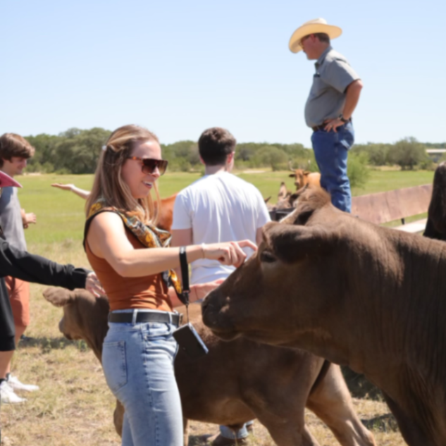 Rancho Cortez gallery photo 2