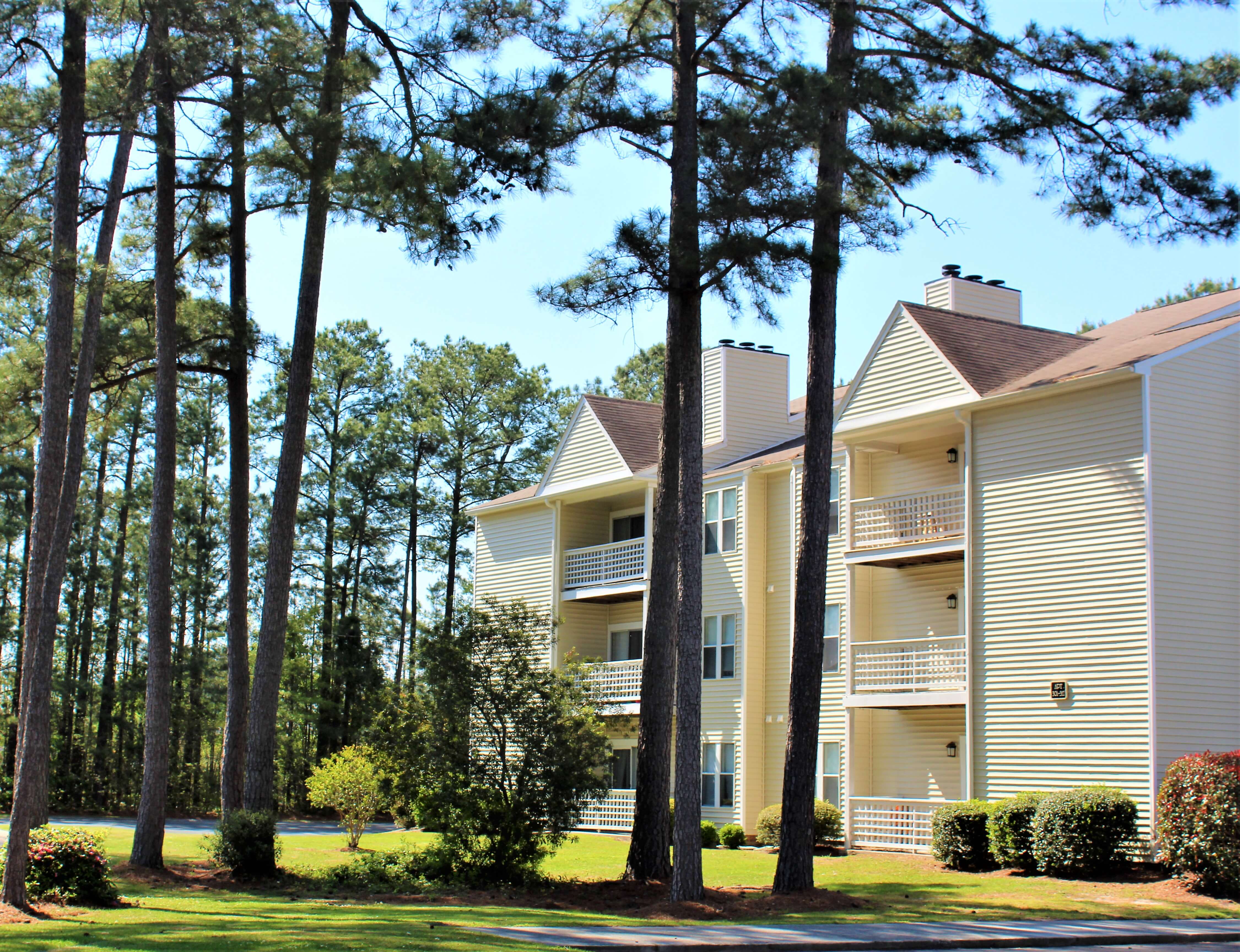 Bluff Ridge Apartment Homes gallery photo 2