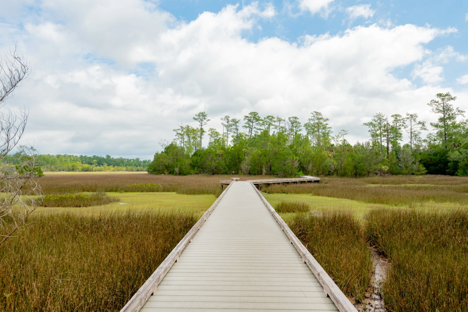 Charleston County Parks gallery photo 1