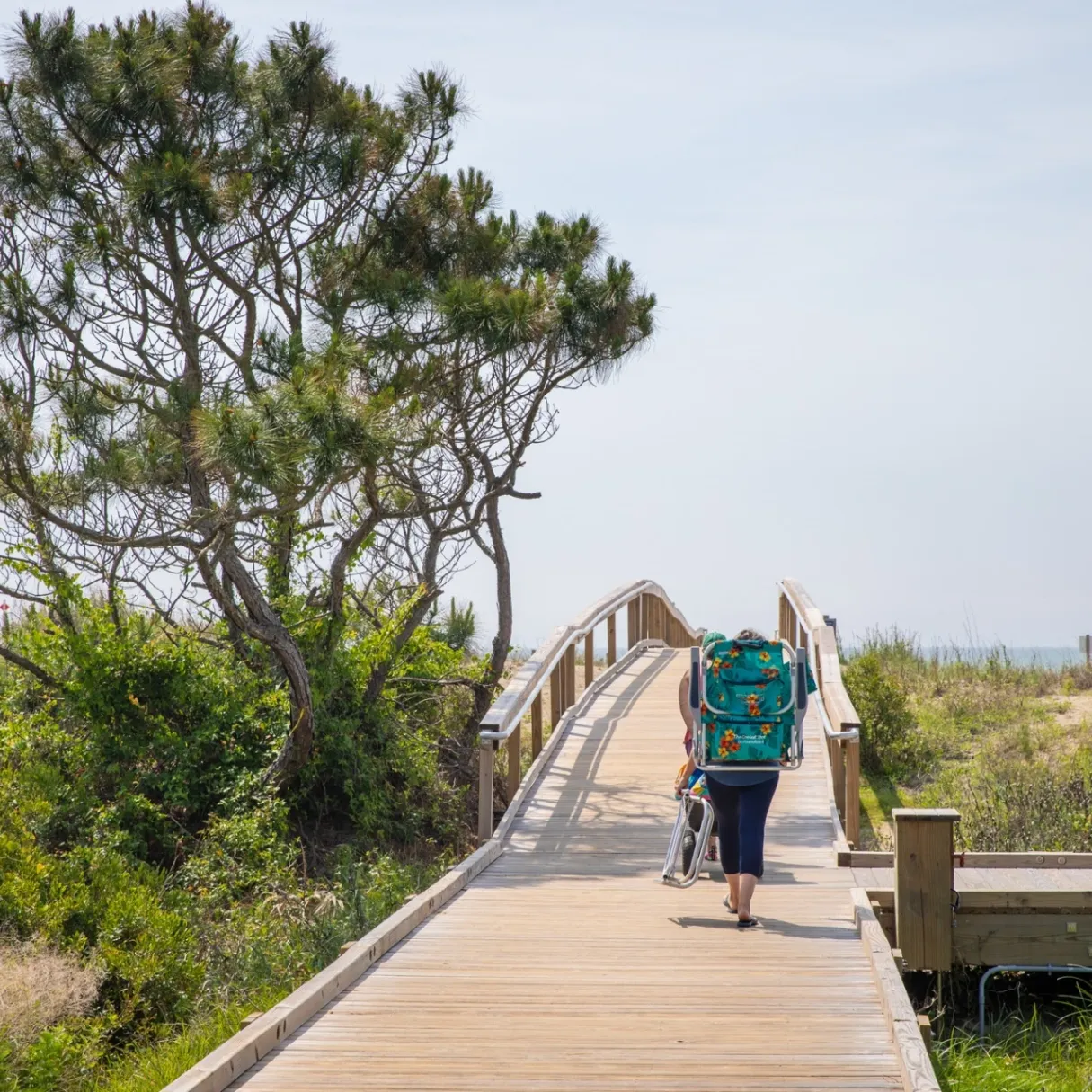 Charleston County Parks gallery photo 2