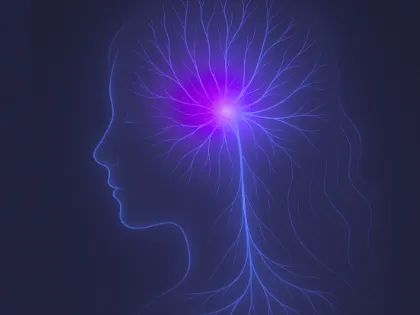 VERANeural gallery photo 1