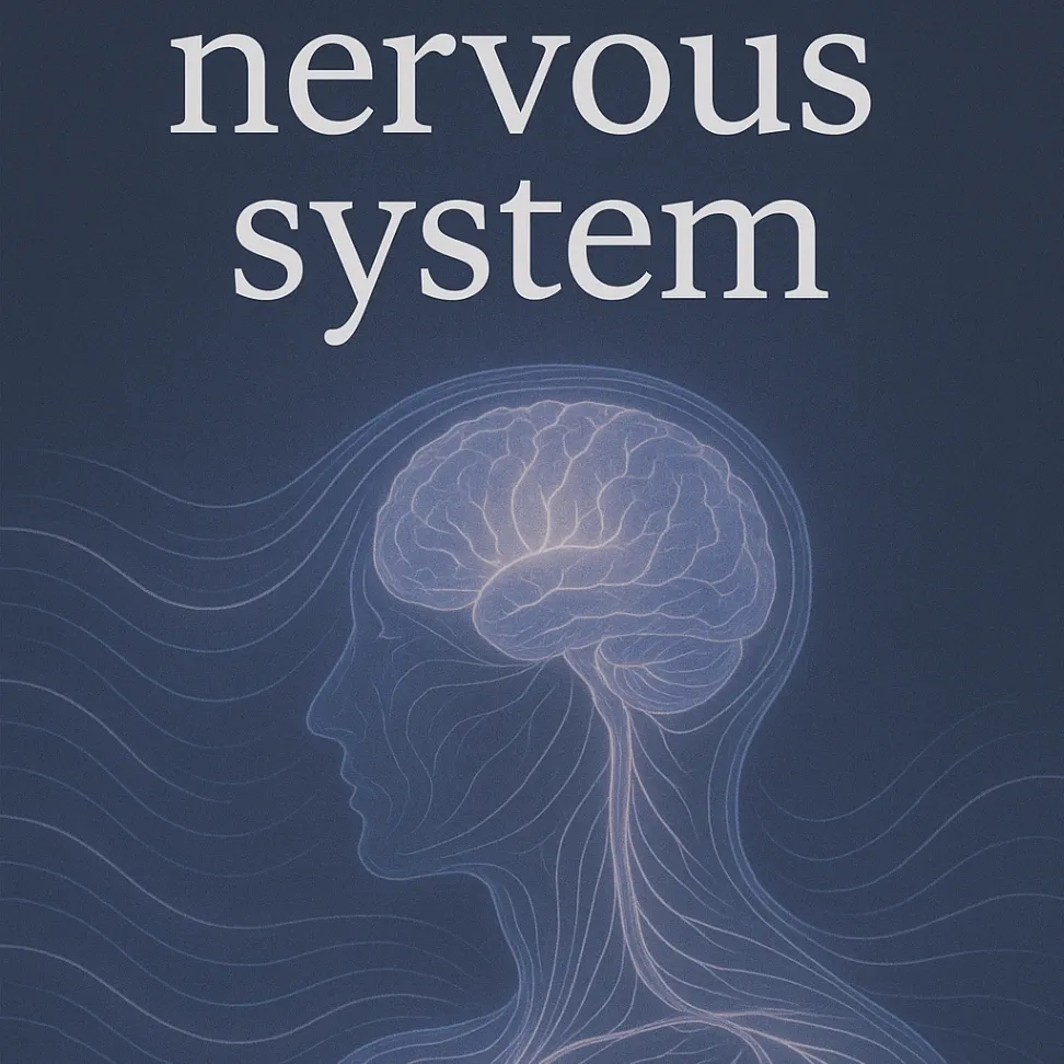 VERANeural gallery photo 9