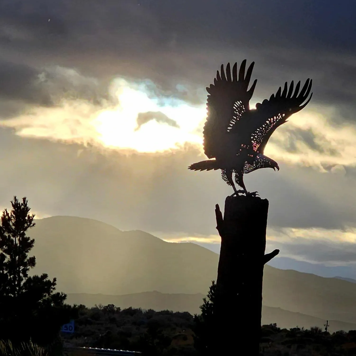 Bristlecone Wealth Management, LLC gallery photo 3