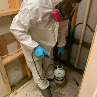 Paul Davis Restoration of San Antonio gallery photo 8