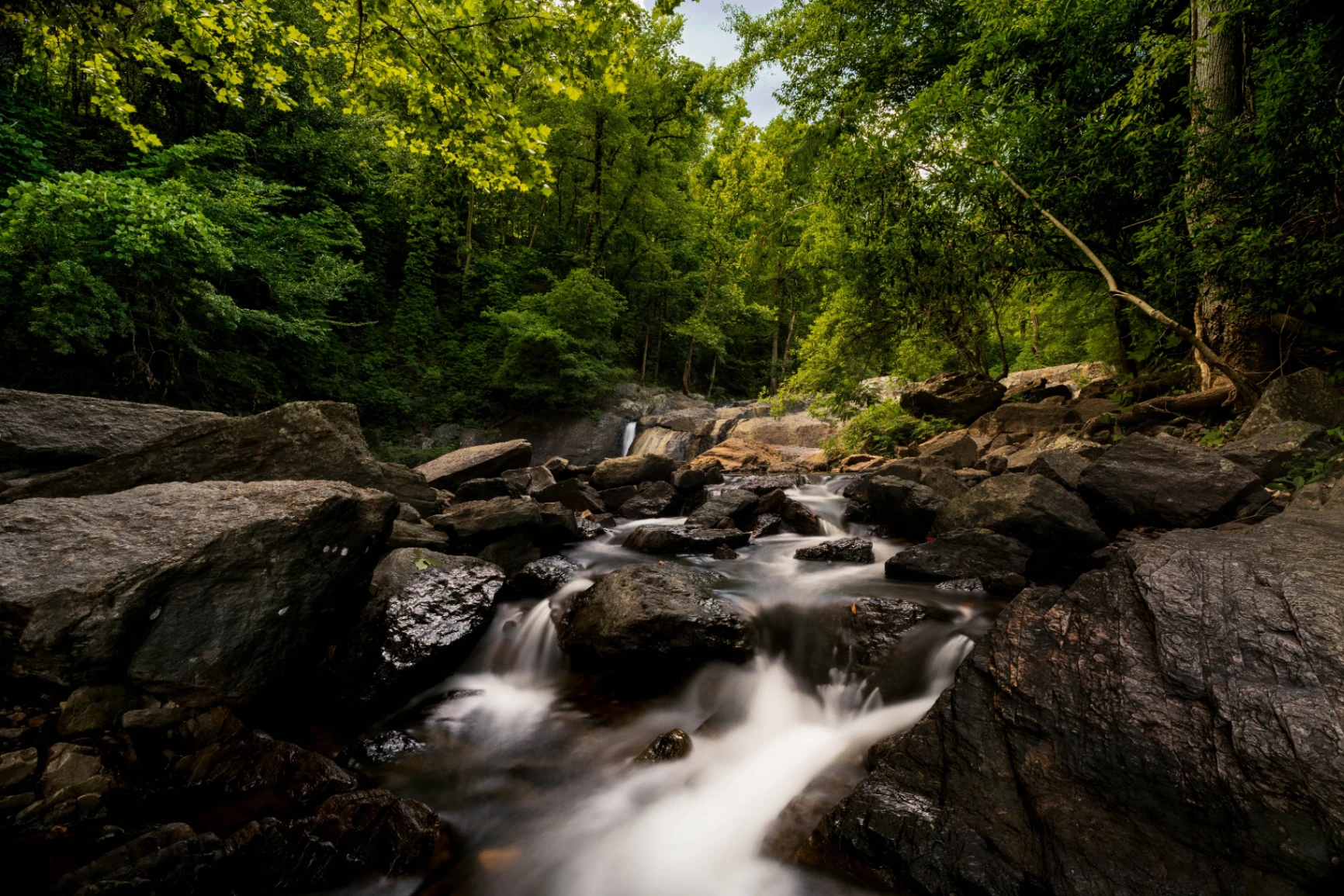 Auburn-Opelika Tourism gallery photo 5