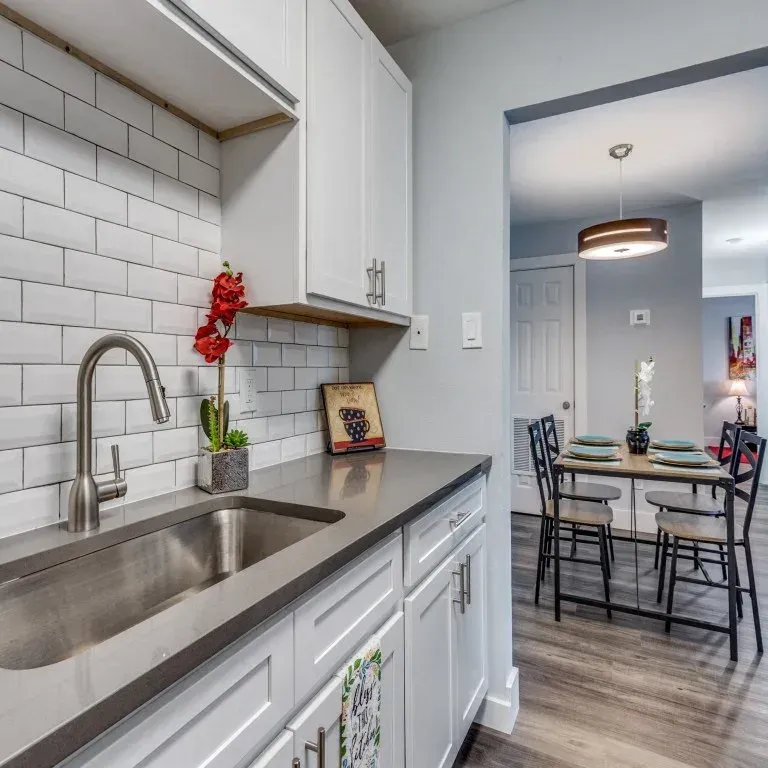 Springs at 1100 gallery photo 4