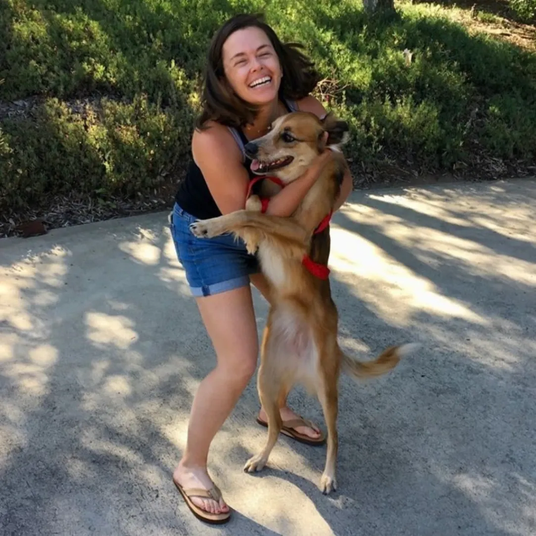 Dog Gone Taxi gallery photo 1