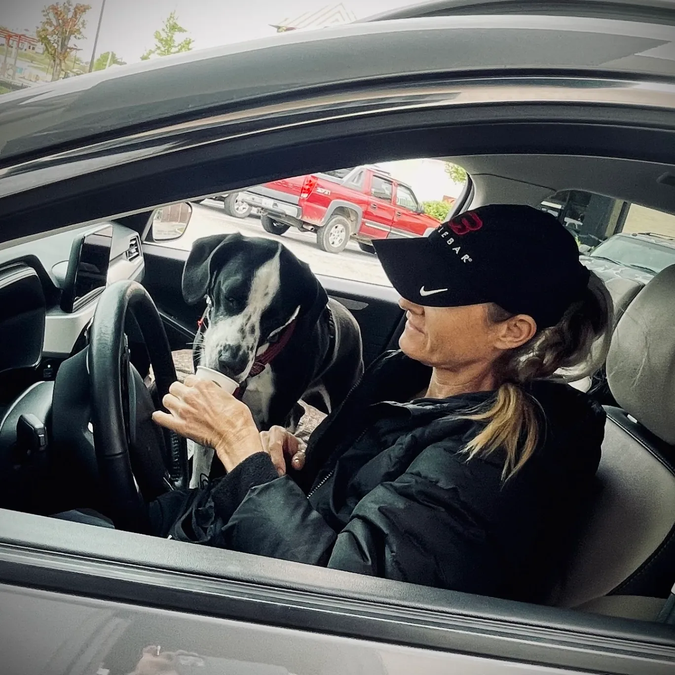 Dog Gone Taxi gallery photo 8