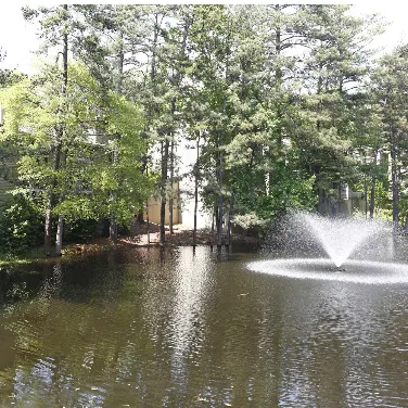 Woodlake Properties gallery photo 3