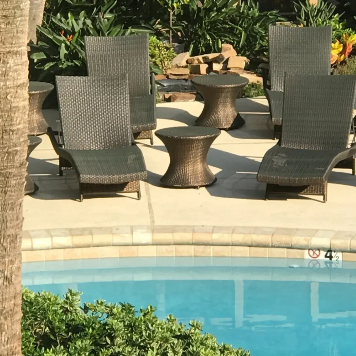 Forest Isle Apartments gallery photo 2