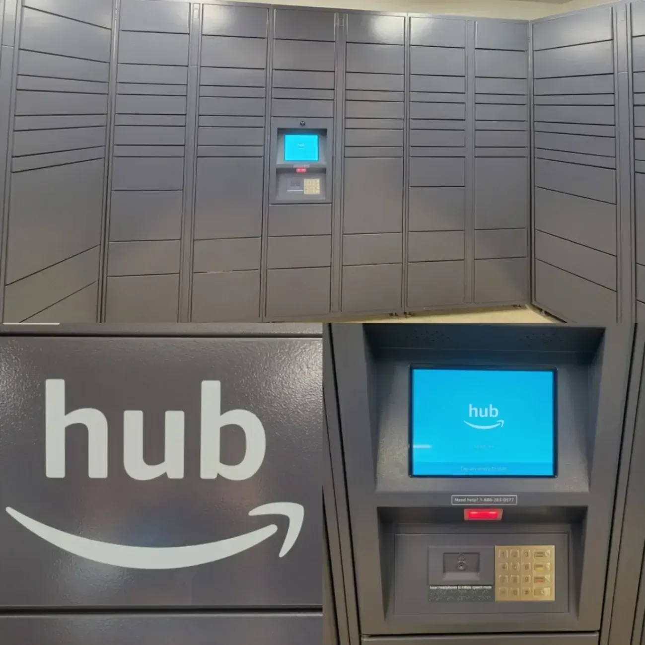 Forest Isle Apartments gallery photo 3