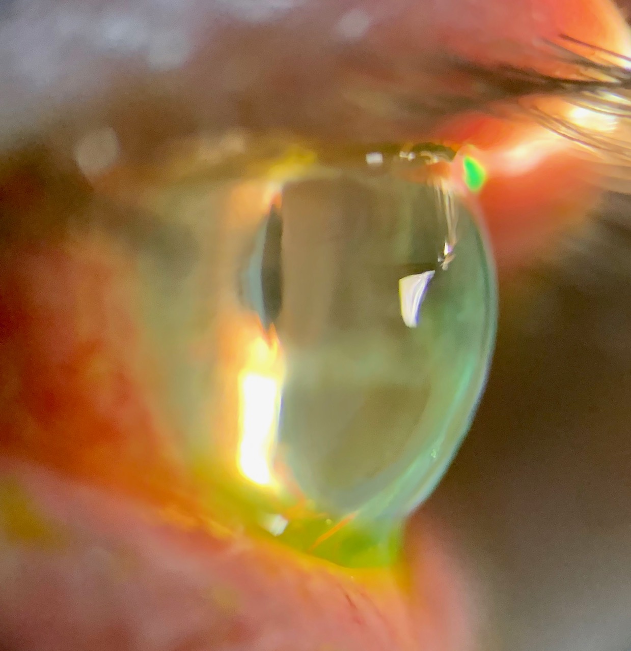 Clifford Silverman, OD Optometry gallery photo 1