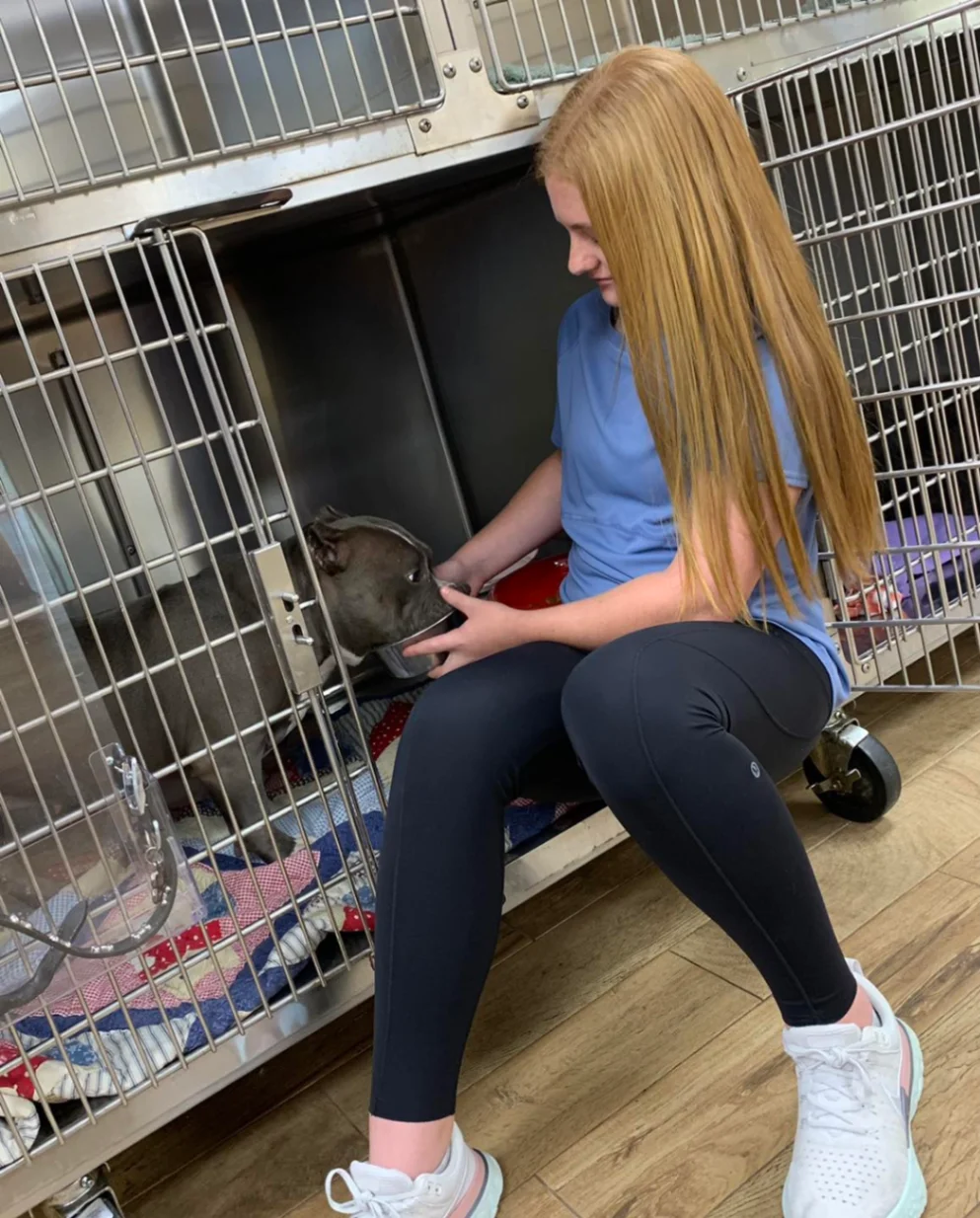 Viking Drive Veterinary Hospital Boarding and Grooming gallery photo 3