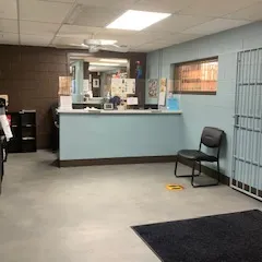 Flamingo Pet Clinic gallery photo 1