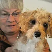 Hamlett Spay & Neuter Clinic gallery photo 4