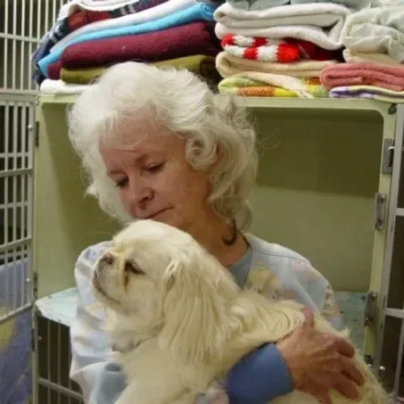 Hamlett Spay & Neuter Clinic gallery photo 8