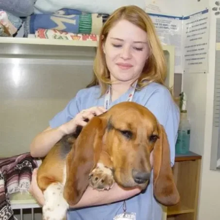 Hamlett Spay & Neuter Clinic gallery photo 9