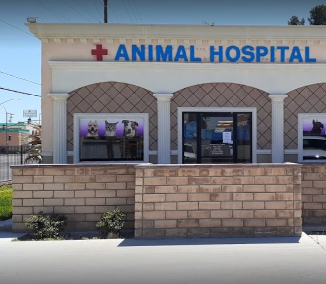 Smith Veterinary Hospital gallery photo 5