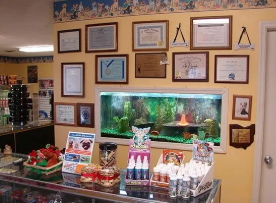 Fairborn Pet Grooming gallery photo 1